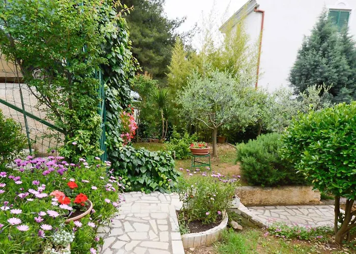 In - Istrien 11082 *